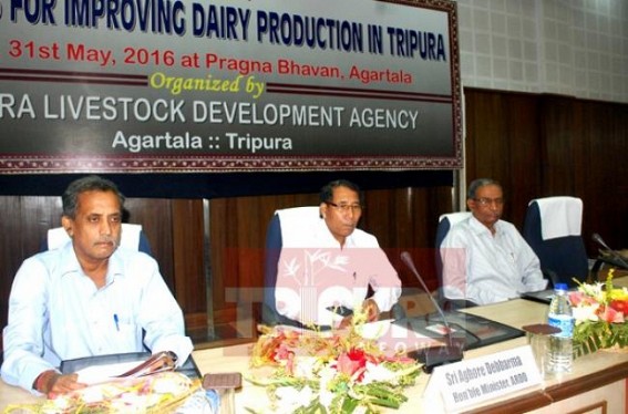 Govt. takes initiative to improve diary industry